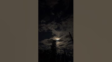 [سورة يونس: ٤٨ - ٤٩] - القارئ: عبدالرحمن مسعد