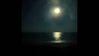 Florida East Coast Atlantic Moon Rise Timelapse