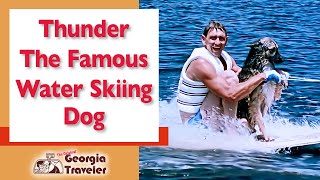 Thunder The Famous Water Skiing Dog - The Original Georgia Traveler WSB-TV [Good News] screenshot 3