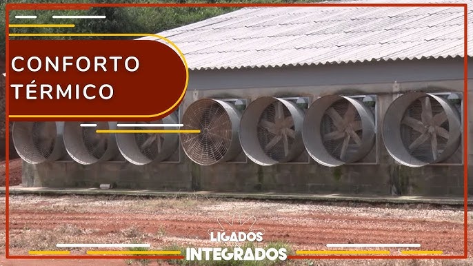 Notícias - “Ourofino em Campo” estreia nas telas do Canal Rural, Canal do  Criador e Lance Rural