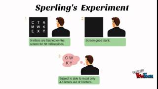 Sperling's Experiment- Aisyah