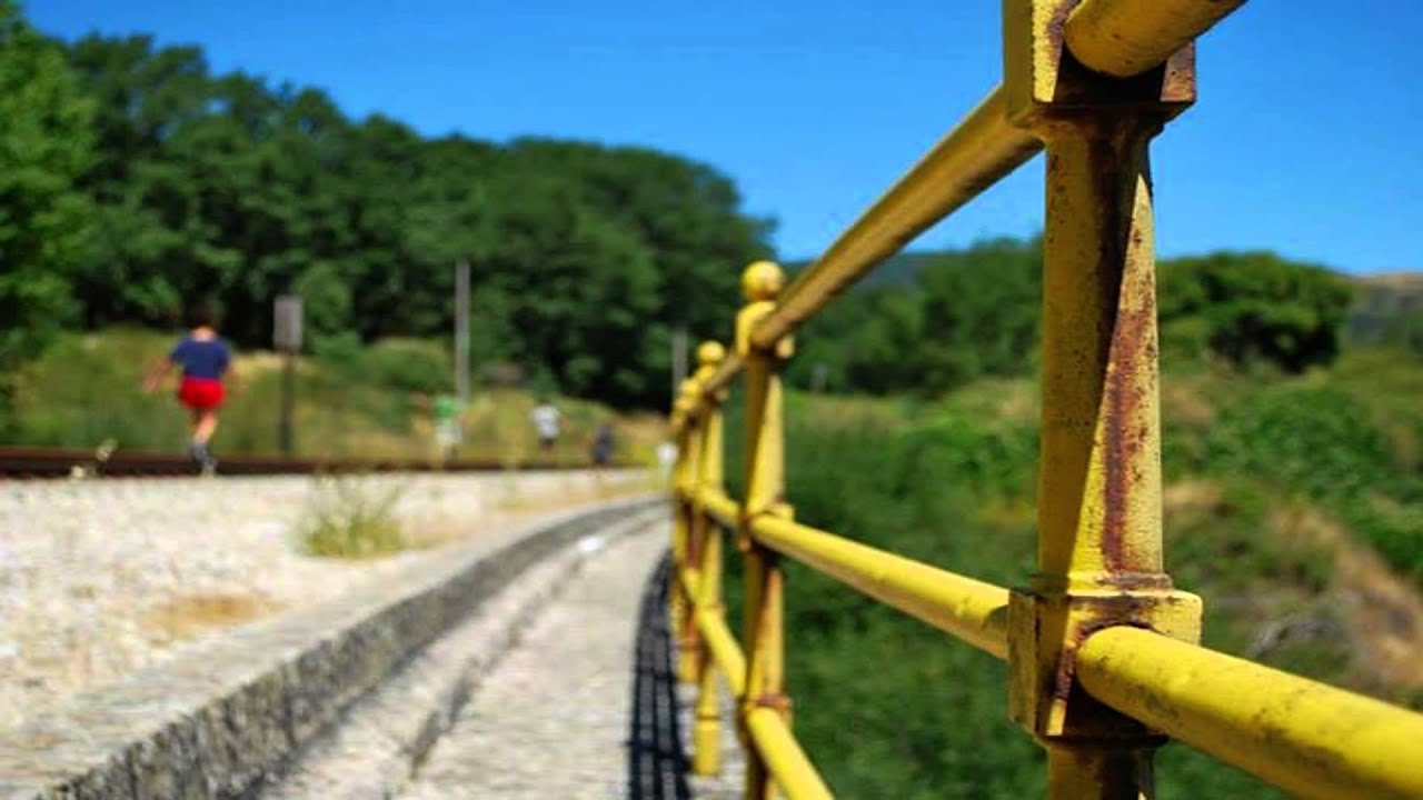 Mi vereda - Paradoxus luporum