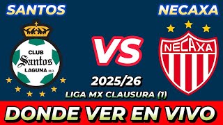 SANTOS VS NECAXA DÓNDE VER EN VIVO FECHA HORA HORARIO CUANDO JUEGAN EN VARIOS PAÍSES