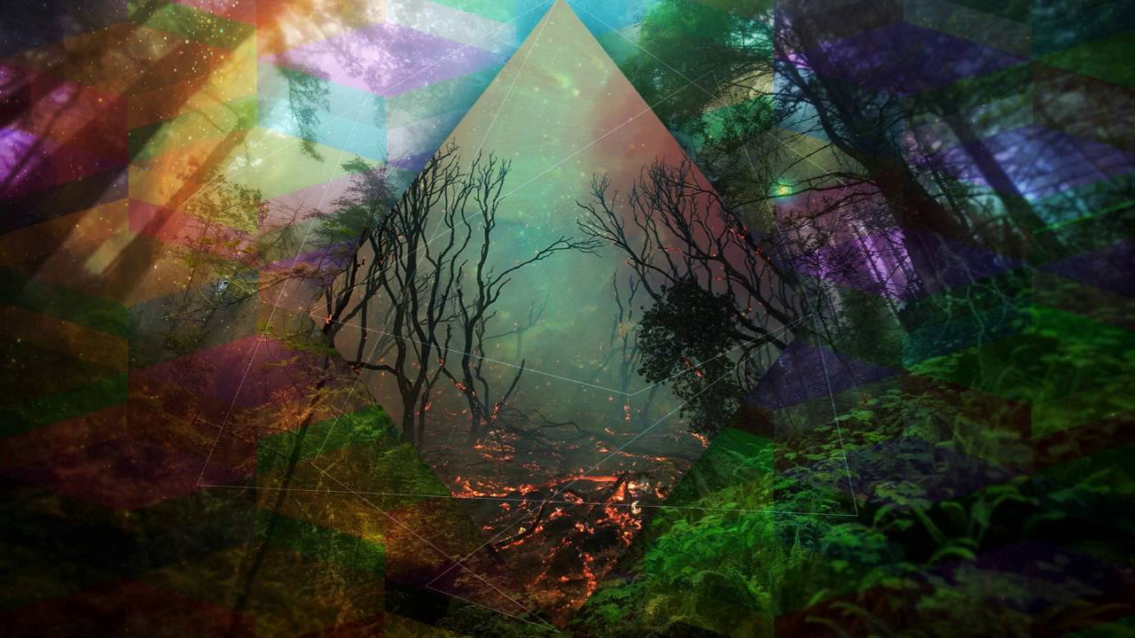 Guarda Sergey Shagaev & Dj Dinamik - Forest (Original Mix) su YouTube Guarda Sergey Shagaev & Dj Dinamik - Forest (Original Mix) su YouTube