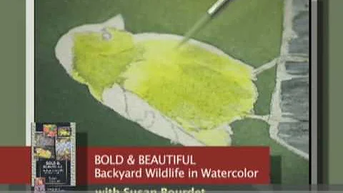 Bold & Beautiful: Backyard Wildlife in Watercolor ...