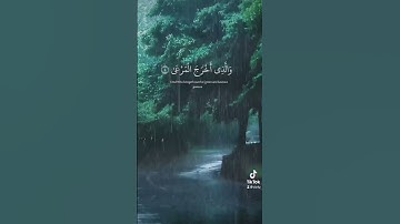 ( سبح اسم ربك الاعلى ) القارئ عبدالرحمن مسعد #quran #قرآن
