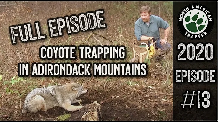 2020 Episode #13 ~ Coyote Trapping in Adirondack Mountains