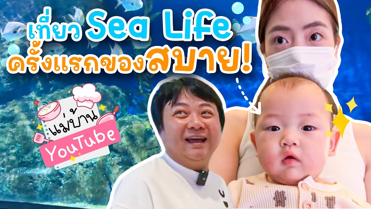 เที่ยว Sea Life ครั้งแรกของสบาย 👶🦈🐠🪸🪼 - แม่บ้าน YouTube