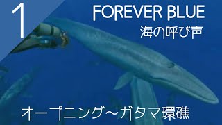 ◇『FOREVER BLUE フォーエバーブルー～海の呼び声～』Vol.1～ガタマ