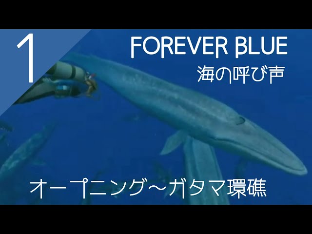 FOREVER BLUE 海の呼び声 ◇『FOREVER BLUE フォーエバーブルー～海の呼び声～』Vol.1～ガタマ