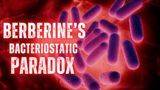 Berberine's Bacteriostatic Paradox