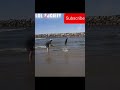#funny #failsarmy #funnymeme #failclips #fails #laughmeme #clips #meme #laugh #hilarious #enjoy