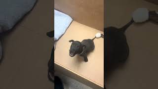 1St Day At Work With Me..omg Might Be A Mistake..lol