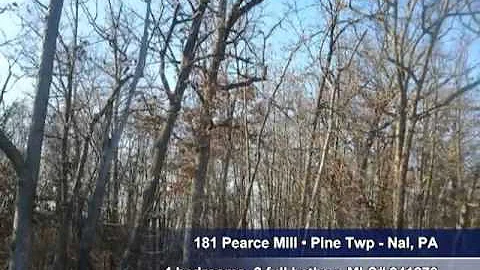 Homes for sale Pine Twp - Nal PA