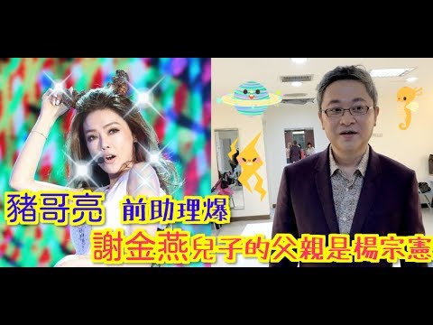 豬哥亮前助理爆 謝金燕兒子的爸爸是楊宗憲
