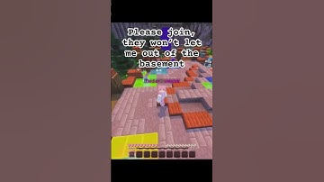Help…. #minecraft #hive #hypixel #bedwars #funny #gaming #trending #pvp #memes