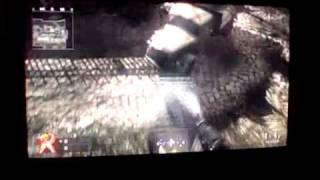 COD5 five asylum glitches