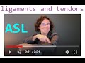 ASL Quick upload: Tendon v  Ligaments
