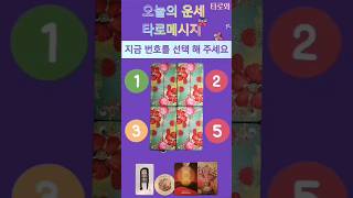 #쇼츠 #타로 #타로점 #타로와 #타로와핑크사주 #연애운  #재물운