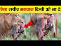 आप इस वीडियो को देख कर रो😭 पड़ेगे ।Most Amazing Animal Moments