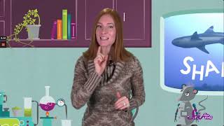 SciShow Kids -Super Sharks!