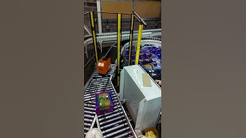 Bar code switch sorter, Roller Conveyor, Guarding