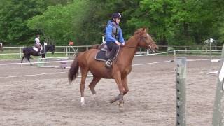 Mattéo - CSO (70 cm) - Jordan - La Vaillantière - 07/05/2017