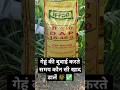 गेहूं की खेती में सही खाद का चयन 🌾