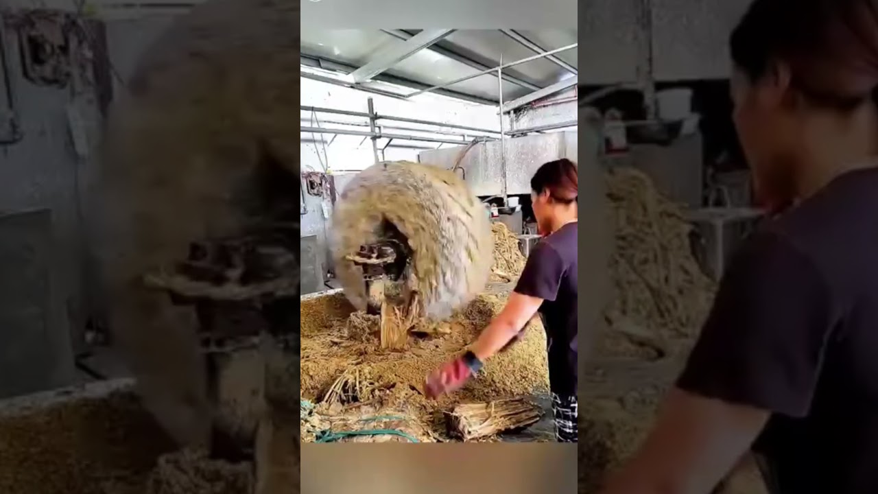 How do Chinese people make paper from bamboo? 😱