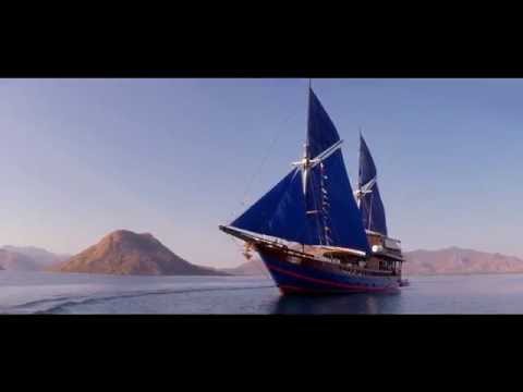 Moana Video