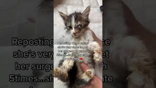 Emergency help is needed to save chole to afford his surgery #patientdiaries #srmc #drjoshi #viral