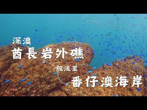 【東北角潛水 深澳】酋長岩外礁放流至番仔澳海岸。SCUBA Diving Trip: Elephant Trunk Rock, Shen′ao, Taiwan.