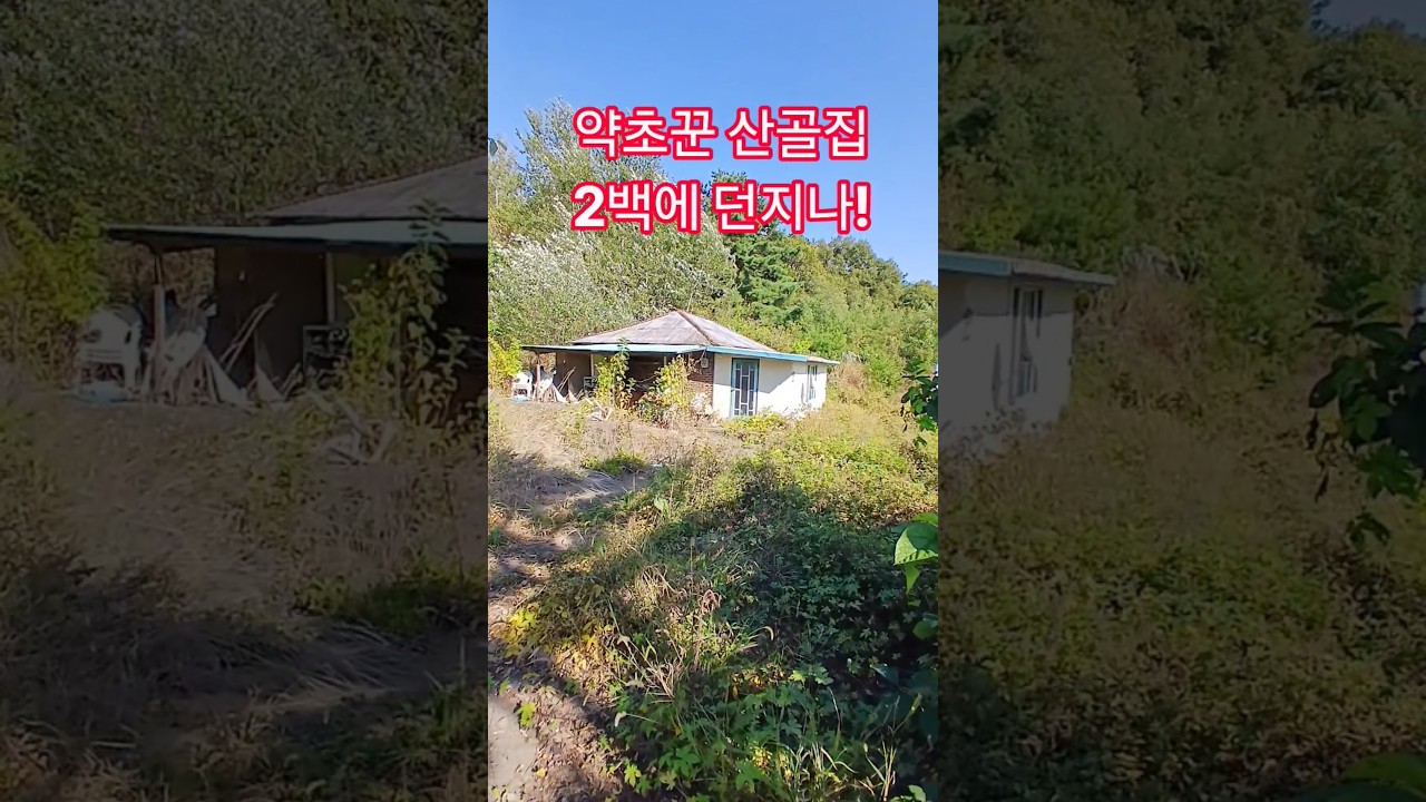 약초꾼 산골집 2백에 던지나! 재미있는 shorts 시골집 옛날집 여행 부동산 부자집 빈집 멋진산 오지마을 전원주택
