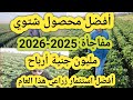 أفضل محصول شتوي 2025 2026 أرباح مليون جنيه و أفضل إستثمار زراعي هذا العام