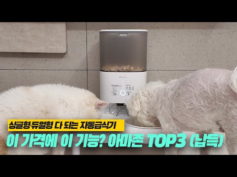 [실사용 리뷰] 반려동물 자동급식기 추천｜강아지 고양이 함께 키우는 집 필수템｜홈런펫 싱글형 듀얼형 급식기｜앱 설정부터 사료 혼합까지｜아마존 TOP3 이유 있음