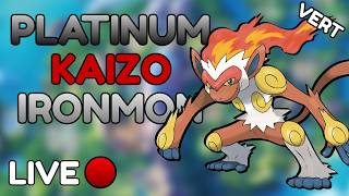 Continuing My First Ever PLATINUM KAIZO IRONMON