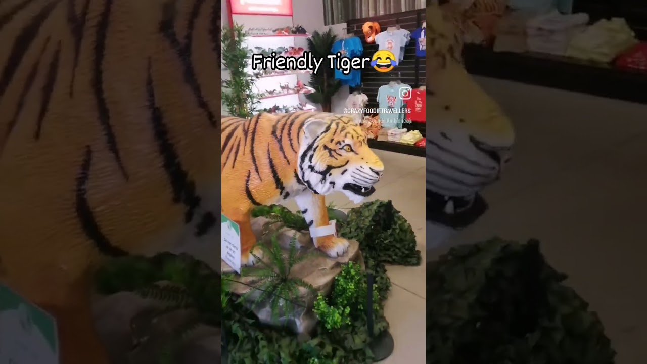 Have you seen this amazing friend? 