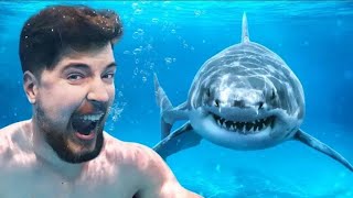 Would you Swim with Sharks $100'000