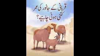 قربانی کے جانور کی عمر کتنی ہونی چاہیے؟ | Qurbani Ke Janwar Ki Umar | Qurbani K Masail by MFRNoorani