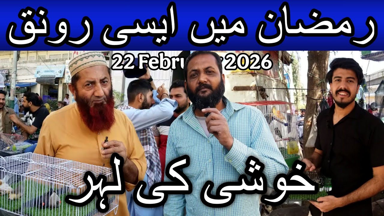 Lalukhet birds market part 2 22 February 2026 | Cheapest price birds market in Karachi Pakistan