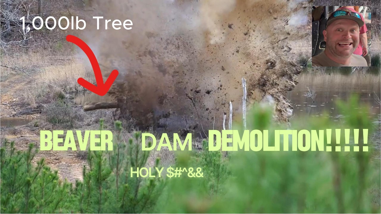 Beaver Dam Demolition!