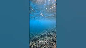 هُوَ الَّذِي يُسَيِّرُكُمْ فِي الْبَرِّ وَالْبَحْرِ ۖ ... القارئ هيثم الدخين