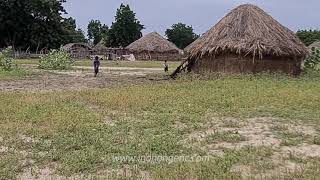 Afri̇kada Yaşam Şartlari Şaşiracaksiniz İnanan Genç