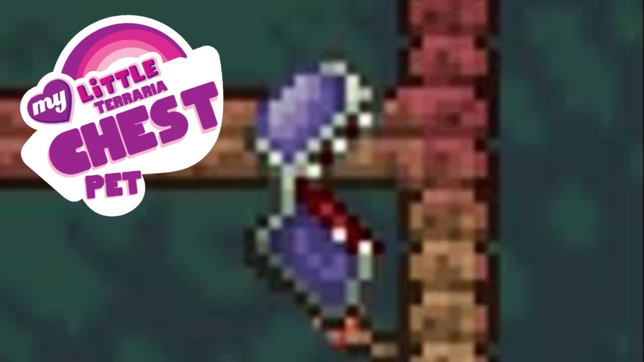Terraria My little chest pet YouTube