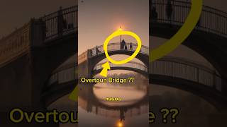 Fun and Fact about Suicide Dog Bridge That you don’t Know 😱😱✨