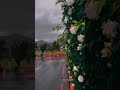 Beautiful Weather, Peace and Ramazan| Islamabad's Colors| #islamic #explore #islam #viral #nature