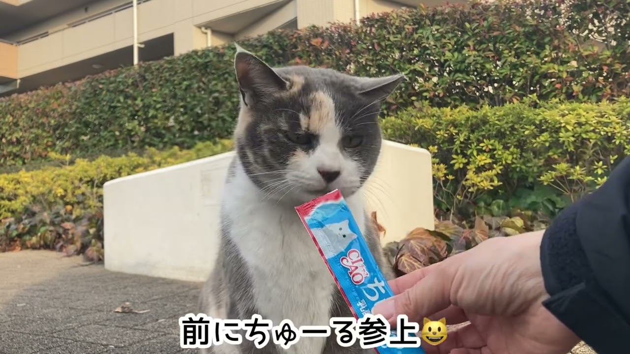 後ろに何か･･･👀#322