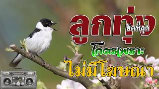 รวมเพลง ลูกทุ่งฮิตที่สุด โคตรเพราะ คัดมาพิเศษ ฟังต่อเนื่อ...