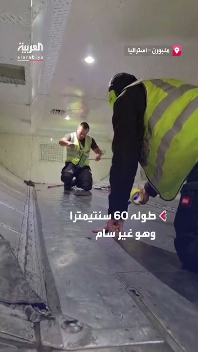        
 - نشر قبل 7 دقيقة