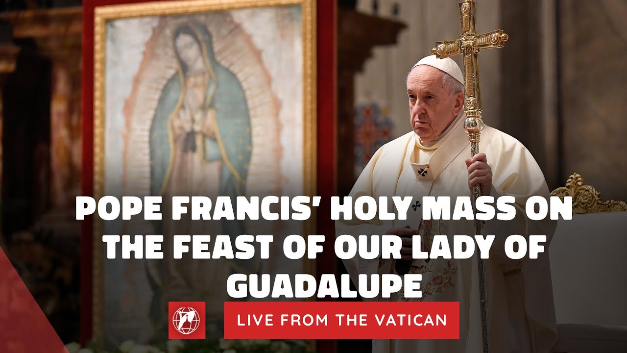 LIVE | Pope Francis’ Holy Mass on the Feast of Our Lady of Guadalupe ...
